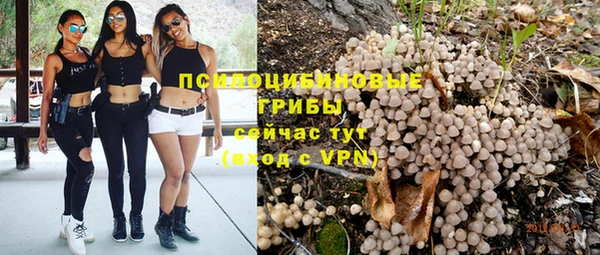 амф Алексеевка