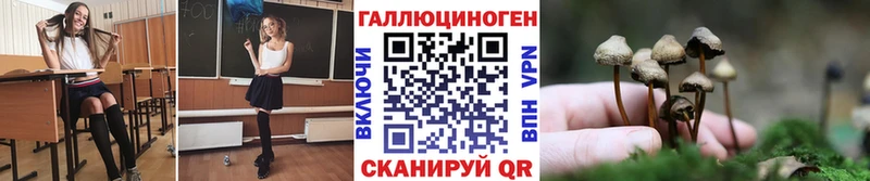 дарк нет формула  Евпатория  Псилоцибиновые грибы мицелий  где можно купить  