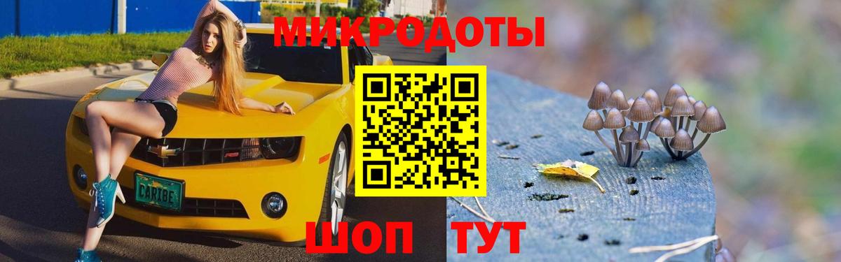 Евпатория  Псилоцибиновые грибы прущие грибы  Вход с VPN 